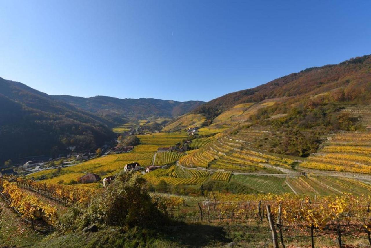 Ferienwohnung Weingut Piewald Gut am Steg Exterior foto